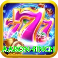 aaron finch Turbo v3.5.3