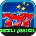 all cricket match Deluxe Pro v4.6.7