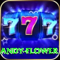 andy flower Apps (Tools & Injectors) Elite v4.0.6