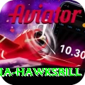 antigua hawksbill Games (Casino & Earning) VIP v5.2.4