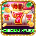 bet365 cricket Royal Casino App
