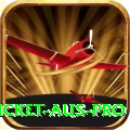 cricket aus Game Deluxe v2.0.5
