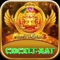 cricket bat Turbo Pro v5.6.6