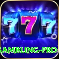 gambling Extreme APK v1.3.2
