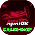 grass carp Pro Edition v1.0.9
