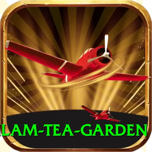 hile ilam tea garden Apps (Tools & Injectors) Max v2.8.1 - 2