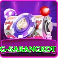 horse riding sarangkot Pro Edition v5.0.3