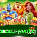 india cricket match Plus Edition v3.0.0