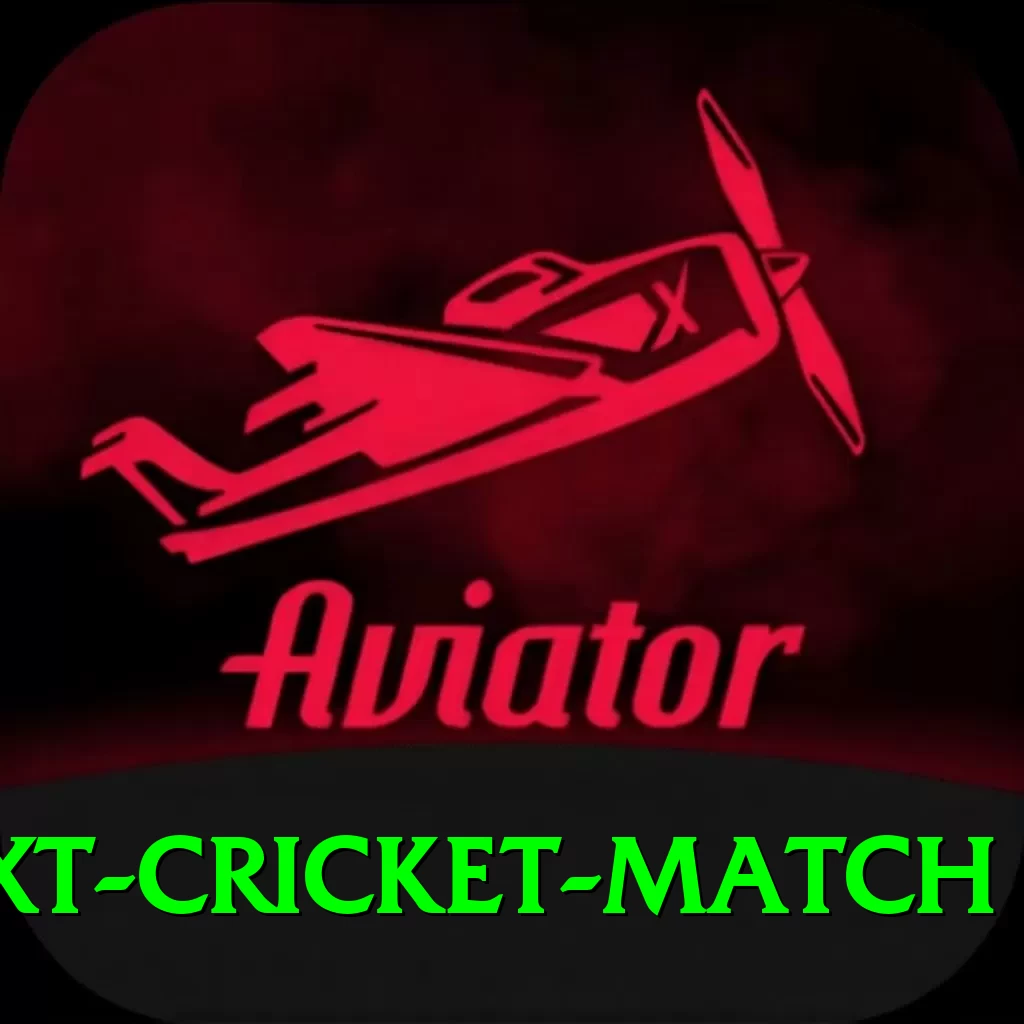 india next cricket match Deluxe Edition v2.4.3 - 2