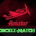 india next cricket match Deluxe Edition v2.4.3