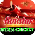 india pakistan cricket Plus v1.9.8
