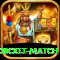 india pakistan cricket match Gold Edition v4.3.1