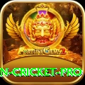 india pakistan cricket Gaming Pro v3.9.3