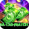 india t20 match Deluxe Edition v1.9.6