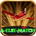 india test match Premium v1.3.5