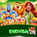 indvsa Plus Edition v2.3.3