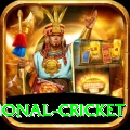international cricket Deluxe Pro v5.4.1