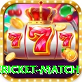 international cricket match Deluxe v1.3.4