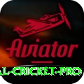 international cricket App VIP v2.8.2