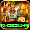 make money betting cricket pk Turbo Pro v1.5.5