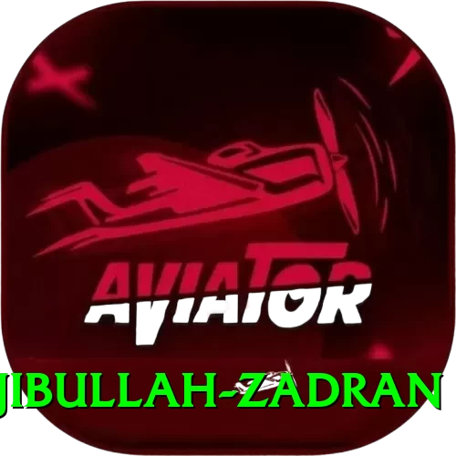 najibullah zadran Pro v3.5.5 - 2
