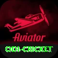 odi cricket Pro Edition v3.5.6