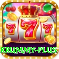 pakrummy VIP v2.6.1