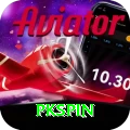 pkspin Premium vv5.5.1