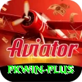 pkwin Gold v5.8.6