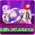 richard ngarava Pro1 v2.7.1