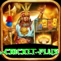 sa cricket Master Latest v2.4.0