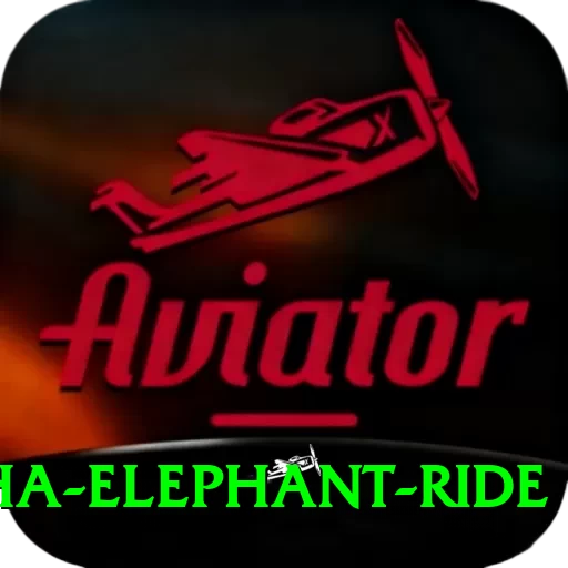 sauraha elephant ride VIP v3.9.2 - 2