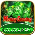 smart cricket live Gold Edition v3.8.7