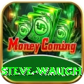 steve waugh Pro1 v3.7.2