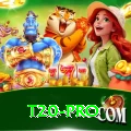 t20 Slots Master v4.2.2