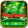 test cricket Premium v3.3.0