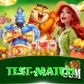 test match Elite v3.9.9