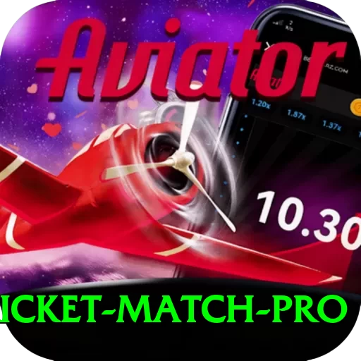 to day cricket match Turbo Gaming App - 2