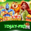 tojay VIP Pro v1.4.2