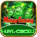 watch live cricket Games (Casino & Earning) Master v1.9.1