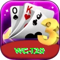 wc t20 Deluxe v1.5.5