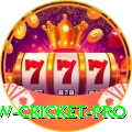 willow cricket Slot Machine Ultimate